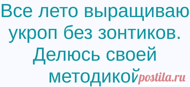 Все лето выращиваю укроп без зонтиков. Делюсь своей методикой
Зелень на моем участке всегда растет в изобилии, начиная с весны и до самого конца дачного сезона. Довольна я и все мои родные, ведь такая витаминная добавка всегда прекрасно сочетается с любым блюдом. Особенно радуют грядки с укропом, зеленые побеги с которых я срезаю все лето, и только к осени они выбрасывают стрелки с зонтиками. […]
Читай дальше на сайте. Жми подробнее ➡
