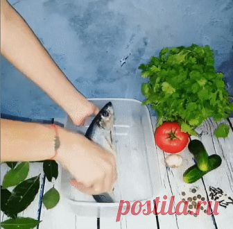 вкусная маринованная селедка