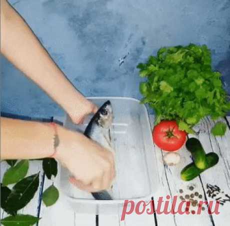 вкусная маринованная селедка