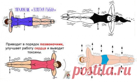 Упражнение “Золотая рыбка” для позвоночника. * Одно из лучших упражнений для восстановления позвоночника.

* Оно способствует улучшению осанки, избавлению от сколиоза.

* Значительно улучшается циркуляция крови и работа кишечника.