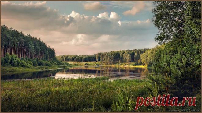 РАВНОДЕНСТВИЕ
Озеро и лес . Россия.﻿