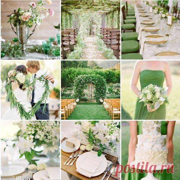 Фотограф Владимир Степанов (Липецк)