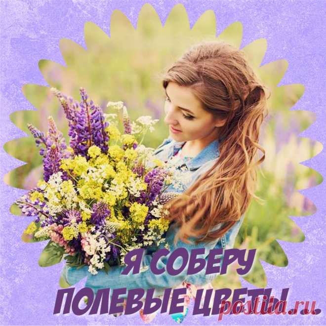 Музыкальные открытки Я соберу полевые цветы https://surprisse.com/muscards/view/2019/04/14/ah1m0ff7o7f31d2us9ea3586uanmshdl.php

Людмила Сараева (Кононенко) - MilaS_Музыкальные открытки | OK.RU