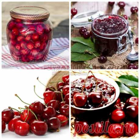 Заготовки на зиму из вишни. Варенье. Золотые рецепты с фото