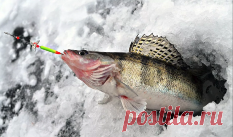 Делаем зимнюю уловистую снасть своими руками | Рыбалка XXI века | Яндекс Дзен