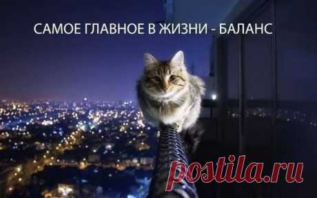 Самое главное в жизни - баланс ... — Всякая Всячина