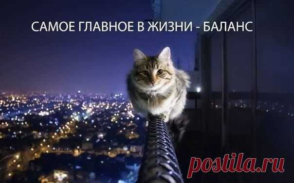 Самое главное в жизни - баланс ... — Всякая Всячина