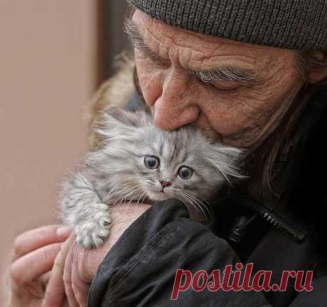 СТАРОСТЬ И НЕЖНОСТЬ К ЖИВОТНЫМ...