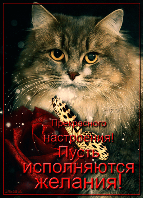 Плейкаст «*** Верные друзья ***» Автор плейкаста: Rimma.Timirova. Тема: Позитив. Когда: 06.04.2017.