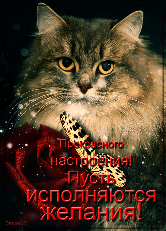 Плейкаст «*** Верные друзья ***» Автор плейкаста: Rimma.Timirova. Тема: Позитив. Когда: 06.04.2017.