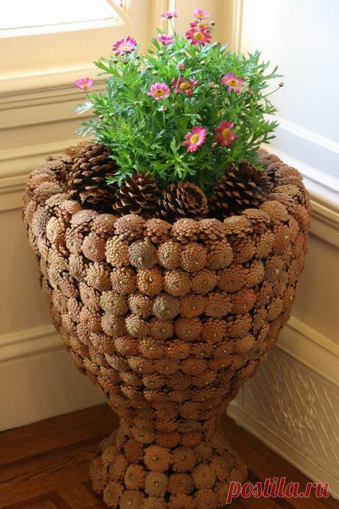 Мужчина собирал шишки, а соседи над ним смеялись