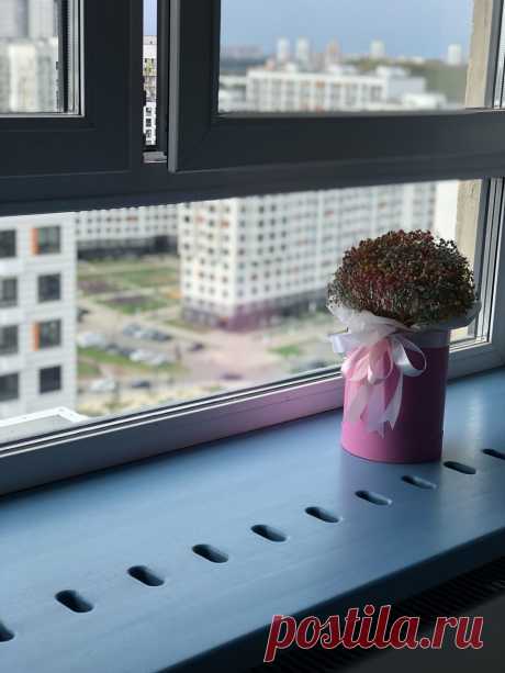 Синий подоконник из массива дерева купить по цене 38 500 руб. в Москве — интернет-магазин Chudo-magazin.ru