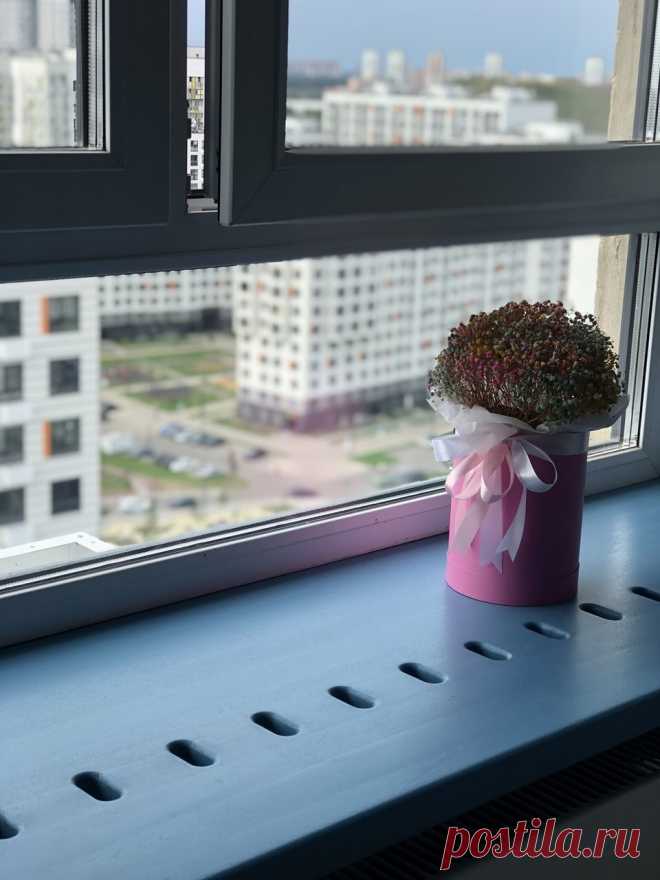 Синий подоконник из массива дерева купить по цене 38 500 руб. в Москве — интернет-магазин Chudo-magazin.ru