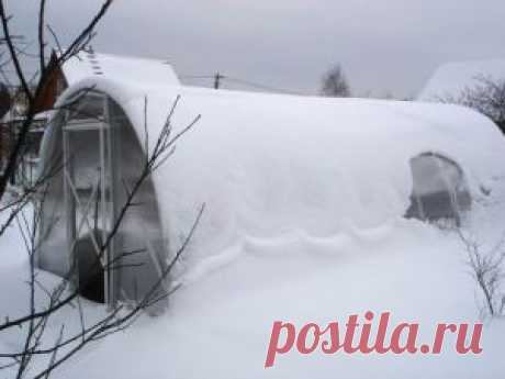 Теплицы из поликарбоната зимой