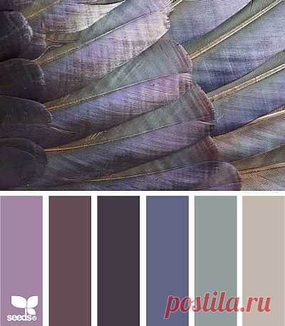 for all who ❤ color | feathered tones