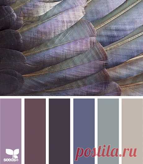 for all who ❤ color | feathered tones