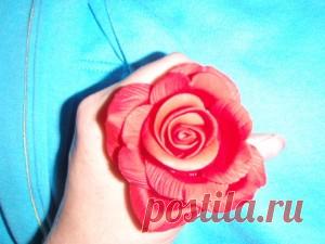 Цветы из мастики - роза. мастер-класс пошагово | Идея Меню