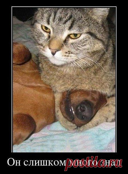 Интересные новости