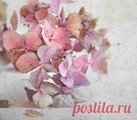 Dominic Moriarty Photography - Fine Art Photography, For Sale | Gallery