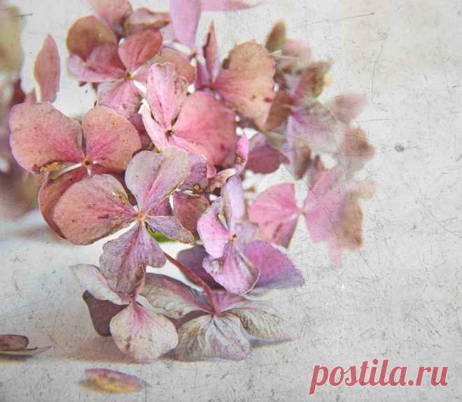 Dominic Moriarty Photography - Fine Art Photography, For Sale | Gallery