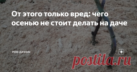 От этого только вред: чего осенью не стоит делать на даче Мой дачный «стаж» насчитывает уже почти три десятка лет. За это время методом проб и ошибок научилась многим премудростям огородной науки. Теперь уже могу судить о том, что и когда нужно делать на участке.
Вот чего точно не нужно применять на своем участке, готовя его к зиме.
1. Раннее укрытие растений. Часто приходится наблюдать картину укутанных на зиму стволов деревьев и закрытых песком и лапни