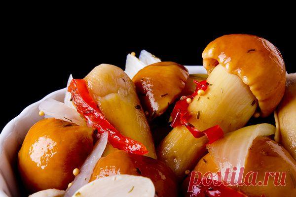 Маринованные грибочки на зиму | Дачный участок