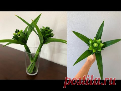 พับใบเตย ไหว้พระ แบบที่ 5 | ใบเตยหอมมะกรูด | MeeDee DIY