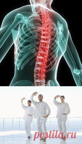 Гимнастика цигун для позвоночника.