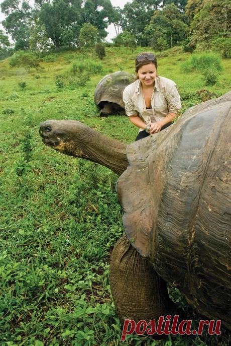 National Geographic – Google+
