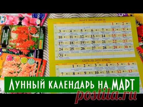 Что когда посеять и посадить в марте! Лунный календарь март 2025 Лучшие дни посадки