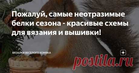 Пожалуй, самые неотразимые белки сезона - красивые схемы для вязания и вышивки! Статья автора «Вязалки Веселого Хомяка» в Дзене ✍: Большинство дизайнов вязаных изделий выполнено в однотонном цвете, но что, если вы хотите чего-то более креативного? Вот где и появляется интарсия!