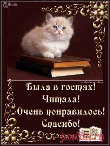 Идеи для творчества