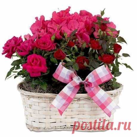 Мой Мир@Mail.Ru