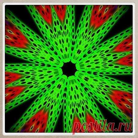 Оптическая иллюзия - 

Kaleidoskop | Facebook