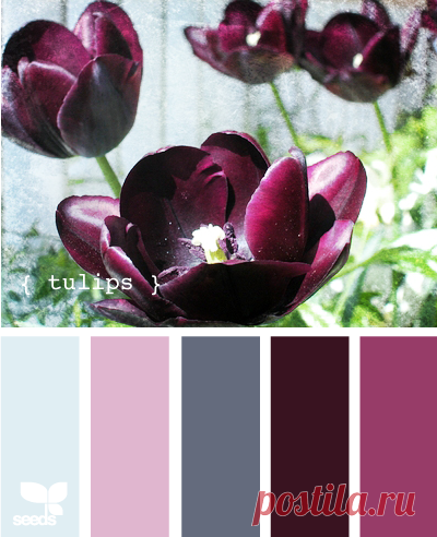 Цветы, деревья — источник вдохновения! | BepHuK собирает друзей