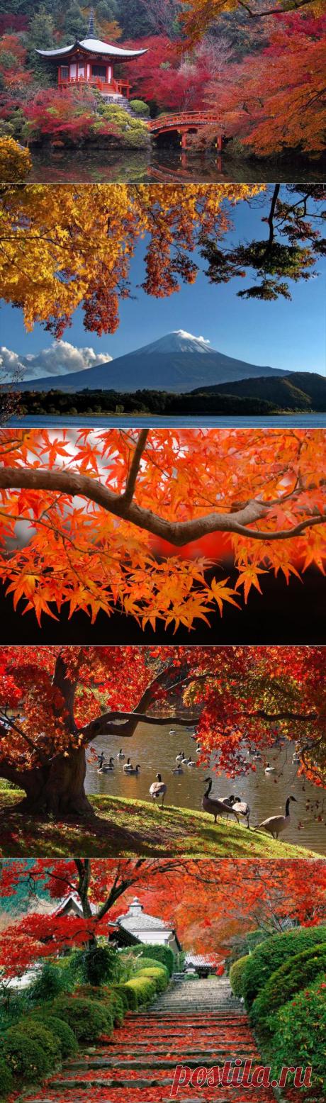 Осень в Японии.