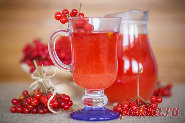 Секреты заготовки калины