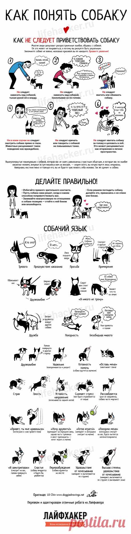 ИНФОГРАФИКА: Как научиться понимать собак - Лайфхакер