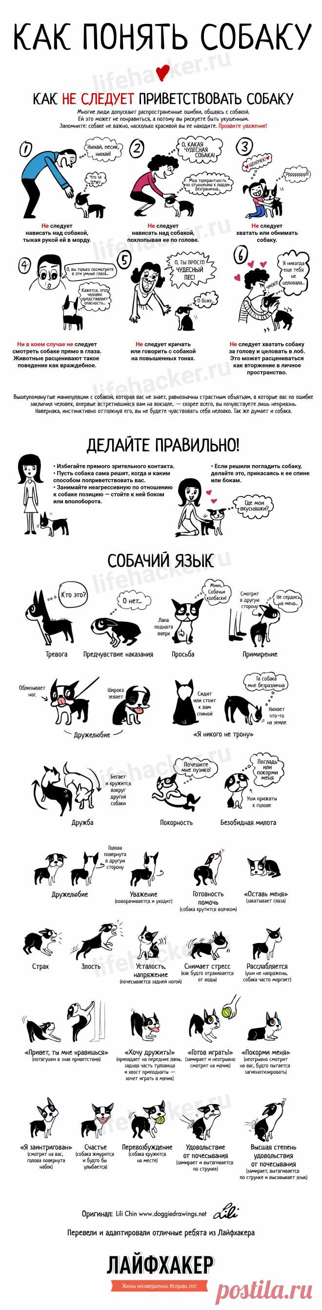 ИНФОГРАФИКА: Как научиться понимать собак - Лайфхакер
