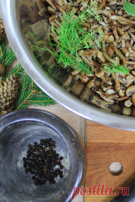 ОПЯТА СОЛЕНЫЕ ГОРЯЧИМ СПОСОБОМ