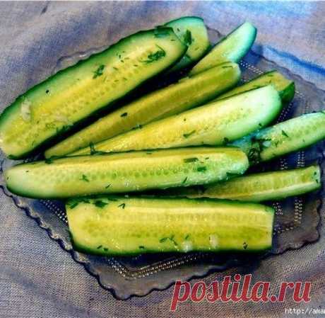 Быстрые маринованные огурчики
