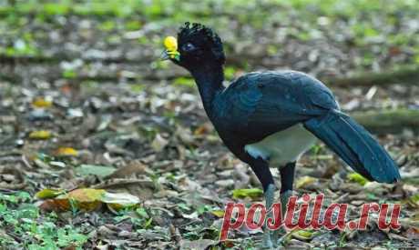 страницы которые создавались константина валерьевича сосницкого краснодар: 10 тыс изображений найдено в Яндекс.Картинках