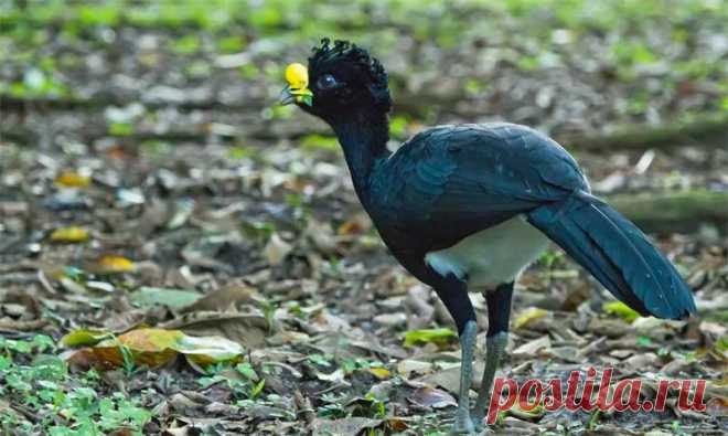 страницы которые создавались константина валерьевича сосницкого краснодар: 10 тыс изображений найдено в Яндекс.Картинках