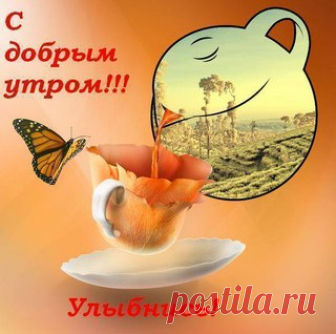 РЕЦЕПТЫ И СОВЕТЫ ХОЗЯЙКАМ: Воздушная запеканка с тыквой ПРЕДУПРЕЖДАЕМ!!! Этот рецепт несет в себе мощный заряд ПОЗИТИВА!