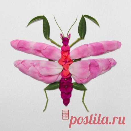 Животные из цветочных стеблей и лепестков