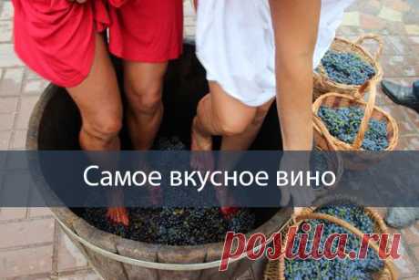 Как сделать виноградное вино? Очень простой рецепт для начинающих виноделов | Бабушкина дача | Яндекс Дзен