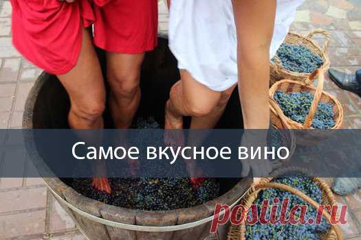 Как сделать виноградное вино? Очень простой рецепт для начинающих виноделов | Бабушкина дача | Яндекс Дзен