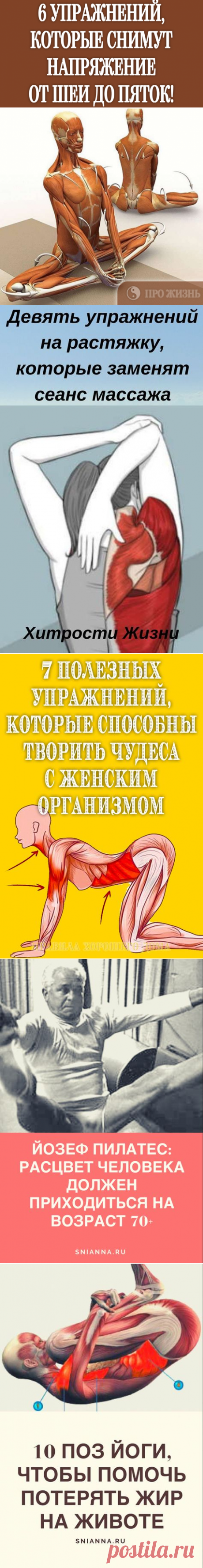 #упражнения #для #спины #снять #напряжение - Favland.org