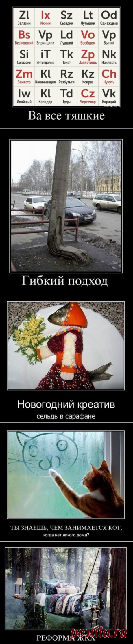 Прикольные демотиваторы (15 шт)