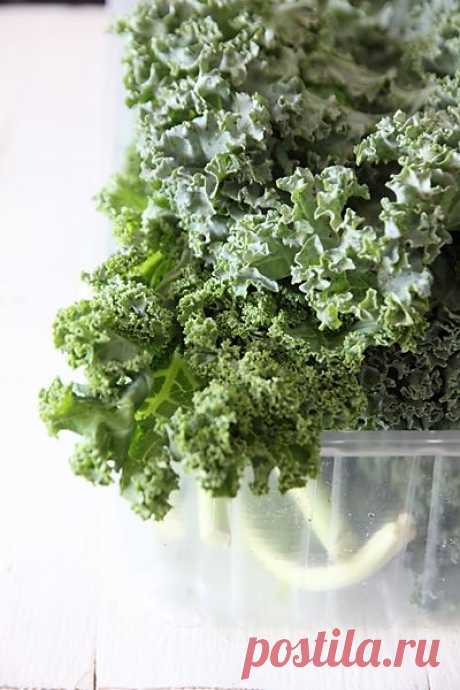 Капуста кале.